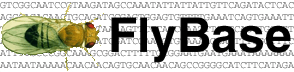 FlyBase logo