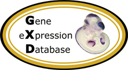 Gene Expression Database logo