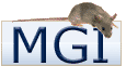 MGI logo