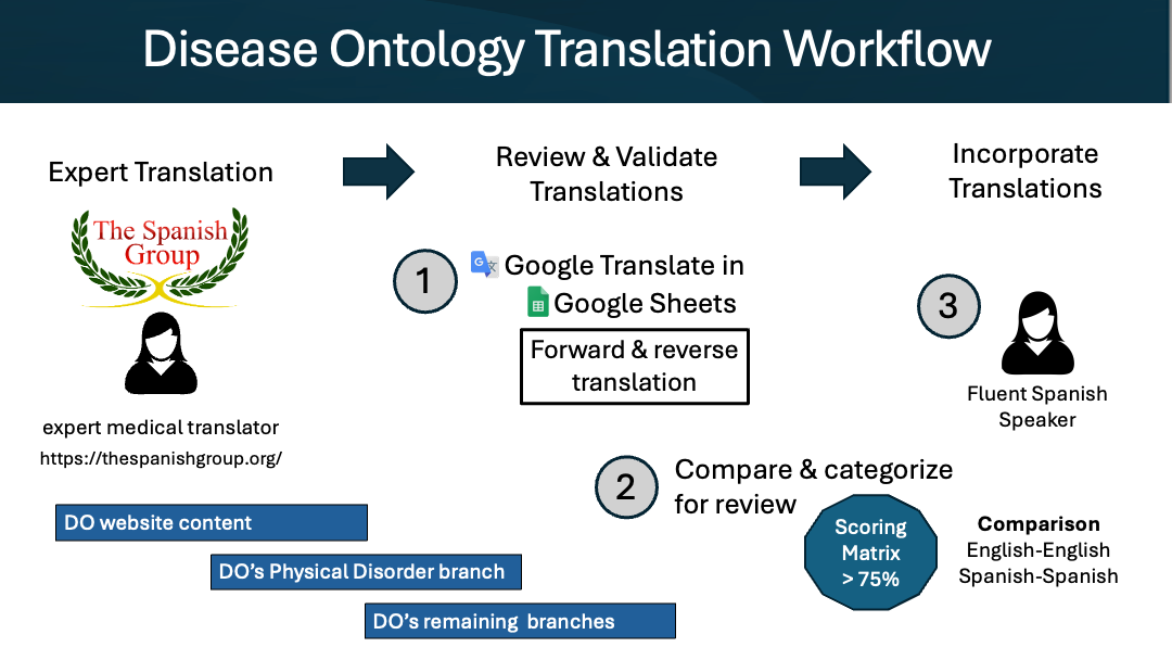 Translation workflow diagram